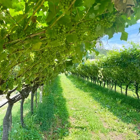 Agricampeggio Paolino Campsite
