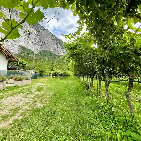 Agricampeggio Paolino Campsite *