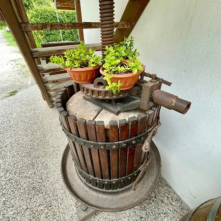 Agricampeggio Paolino *